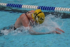 db_Sommerschwimmfest_Haselunne_2013_IMG_61921