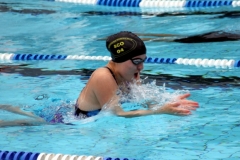 db_Sommerschwimmfest_Haselunne_2013_IMG_61991