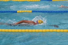 db_Bad_Essen_2014_IMG_7730