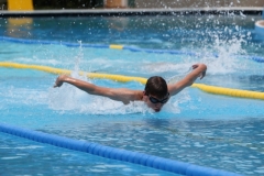 db_Bad_Essen_2014_IMG_7779