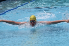 db_Bad_Essen_2014_IMG_7780