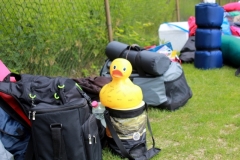 db_Haselunne_2014_IMG_73141