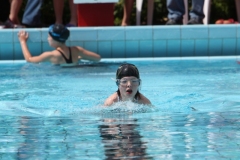 db_Haselunne_2014_IMG_73381