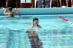 db_Haselunne_2014_IMG_73391