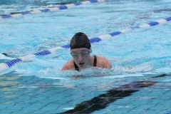 db_Haselunne_2014_IMG_73601