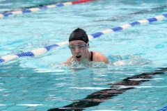 db_Haselunne_2014_IMG_73651