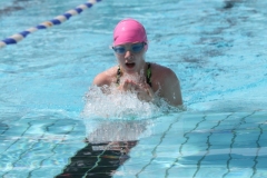 db_Haselunne_2014_IMG_73751