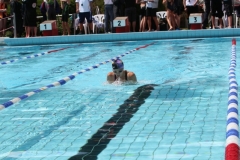 db_Haselunne_2014_IMG_73851