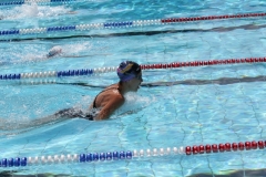 db_Haselunne_2014_IMG_73911