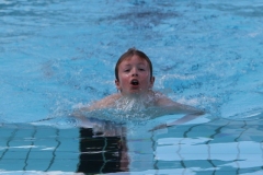 db_Haselunne_2014_IMG_73951