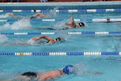 db_Haselunne_2014_IMG_74101