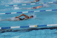 db_Haselunne_2014_IMG_74211