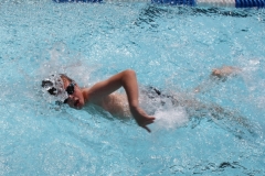 db_Haselunne_2014_IMG_74311