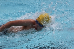 db_Haselunne_2014_IMG_74401