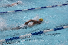 db_Haselunne_2014_IMG_74411