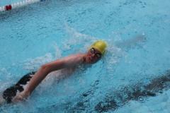 db_Haselunne_2014_IMG_74451