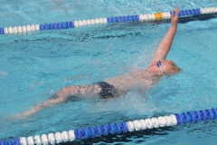 db_Haselunne_2014_IMG_74581