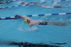 db_Haselunne_2014_IMG_74631