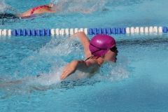 db_Haselunne_2014_IMG_74681