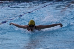 db_Haselunne_2014_IMG_74771