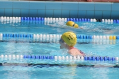 db_Haselunne_2014_IMG_75861