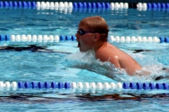 db_Haselunne_2014_IMG_76251