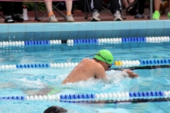 db_Haselunne_2014_IMG_76441