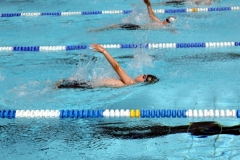 db_Haselunne_2014_IMG_76521