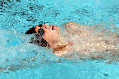 db_Haselunne_2014_IMG_76551