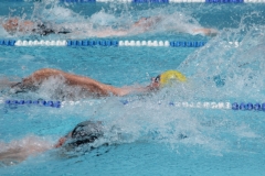 db_Haselunne_2014_IMG_76771