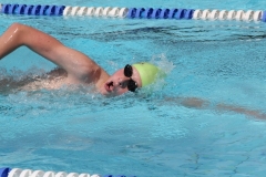 db_Haselunne_2014_IMG_76901