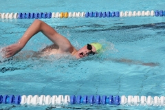 db_Haselunne_2014_IMG_7691