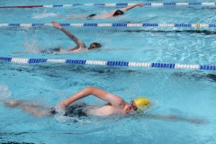 db_Haselunne_2014_IMG_7693