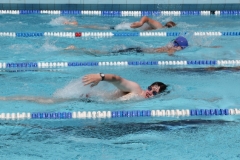 db_Haselunne_2014_IMG_7694