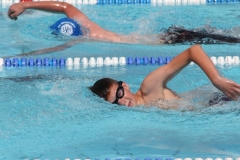 db_Haselunne_2014_IMG_7705