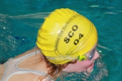 db_Minden_2014_IMG_7985