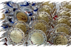 db_Nikolaus_Schwimmfest_2014_3303