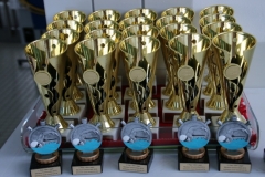 db_12__Nikolaus_Schwimmfest_2015_IMG_5637