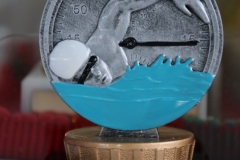 db_12__Nikolaus_Schwimmfest_2015_IMG_5641