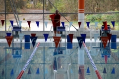 db_12__Nikolaus_Schwimmfest_2015_IMG_5652