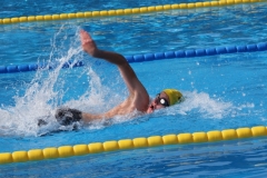 db_Bad_Essen_2015_IMG_0745