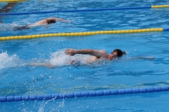 db_Bad_Essen_IMG_0749