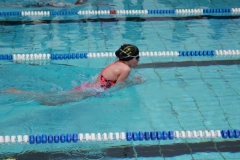 db_Haselunne_2015_IMG_0852