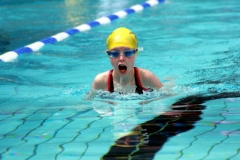 db_Haselunne_2015_IMG_0855