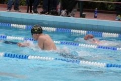 db_Haselunne_2015_IMG_0897