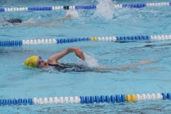 db_Haselunne_2015_IMG_0899