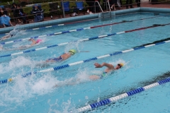 db_Haselunne_2015_IMG_0906