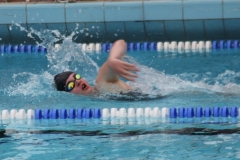 db_Haselunne_2015_IMG_0984