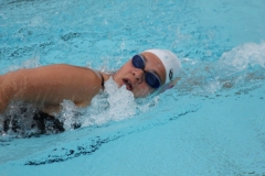 db_Haselunne_2015_IMG_0985