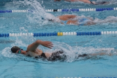 db_Haselunne_2015_IMG_0987